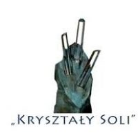 Stowarzyszenie nominowane do nagrody Kryształy Soli dla najlepszej organizacji w Małopolsce